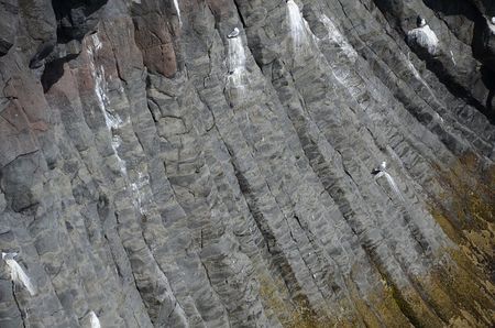 Arnastapi