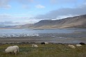 Islande_J10_005