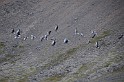 Islande_J10_009