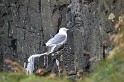 Islande_J10_035