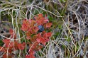 Islande_J10_053