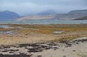 Islande_J11_018