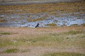 Islande_J11_022