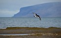Islande_J11_023