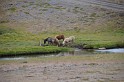 Islande_J12_005