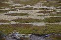 Islande_J12_048