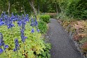 Islande_J13_019