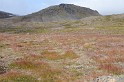 Islande_J15_011