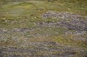 Islande_J15_022