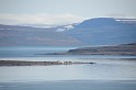Islande_J16_035