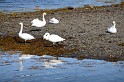 Islande_J16_040