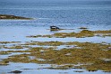 Islande_J16_048