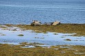 Islande_J16_049