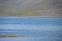 Islande_J16_050