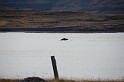 Islande_J16_065