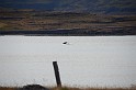 Islande_J16_066