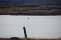 Islande_J16_067