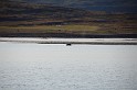 Islande_J16_073