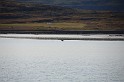 Islande_J16_074