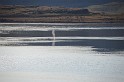 Islande_J16_078