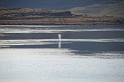 Islande_J16_079