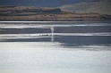 Islande_J16_081