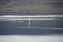 Islande_J16_082