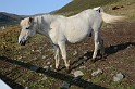 Islande_J17_001