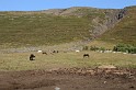 Islande_J17_002