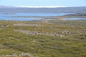 Islande_J17_011