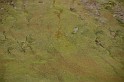 Islande_J17_022