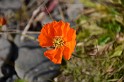 Islande_J17_025