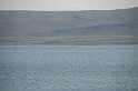Islande_J17_036