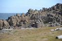 Islande_J18_005