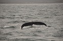 Islande_J18_020