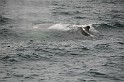 Islande_J18_024