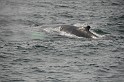 Islande_J18_025