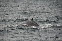 Islande_J18_027