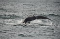 Islande_J18_030