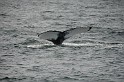Islande_J18_032