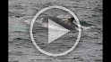 Islande_J18_033