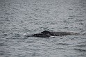 Islande_J18_034