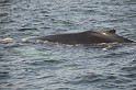 Islande_J18_038