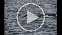 Islande_J18_039