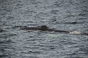 Islande_J18_041