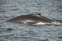 Islande_J18_044