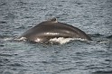 Islande_J18_045