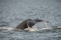 Islande_J18_048