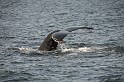 Islande_J18_049