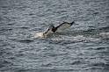 Islande_J18_050